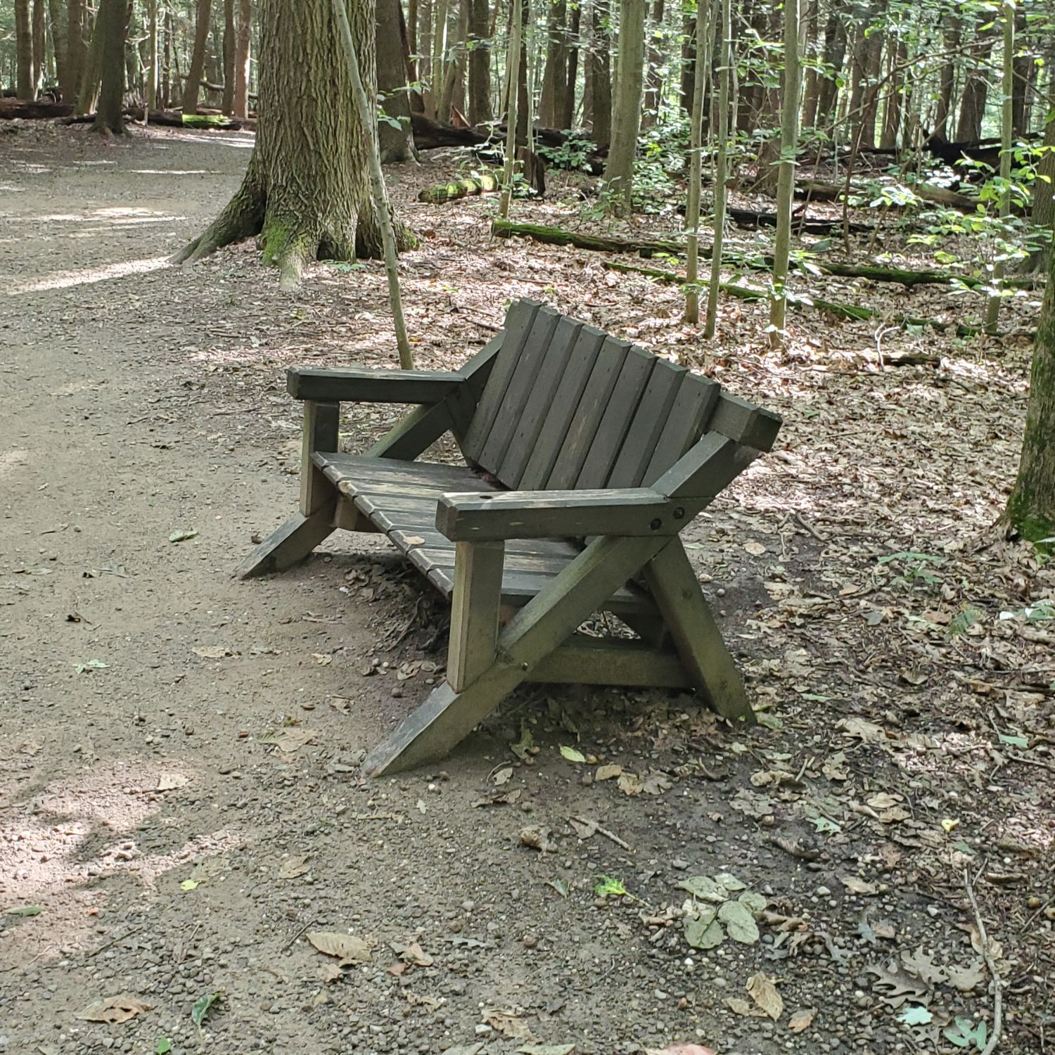 Ledges and Pine Grove Trails 